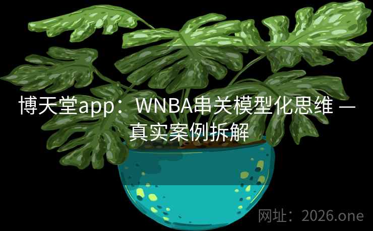 博天堂app:WNBA串关模型化思维 — 真实案例拆解 博天堂app:WNBA串关模型化思维 — 真实案例拆解