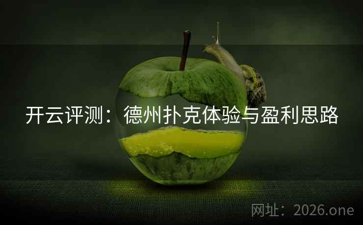 开云评测:德州扑克体验与盈利思路 开云评测:德州扑克体验与盈利思路