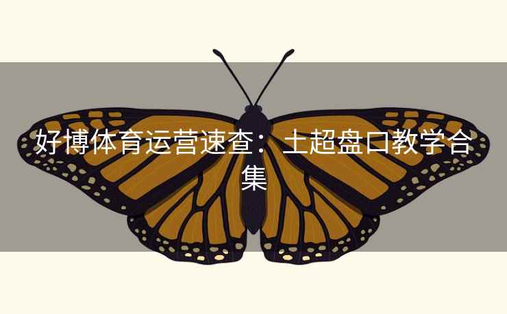 好博体育运营速查:土超盘口教学合集 好博体育运营速查:土超盘口教学合集