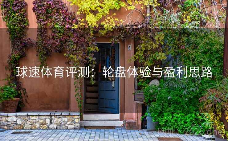 球速体育评测：轮盘体验与盈利思路